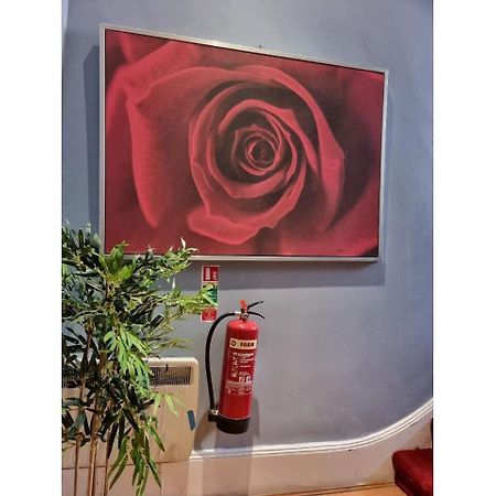 F304-Lovely 3Rd Flr Studio Fits 2 Near Hyde Park London Exterior foto